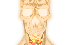 Kaiyo's Chakra.png